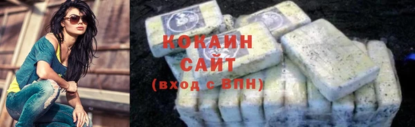 крисы Абаза