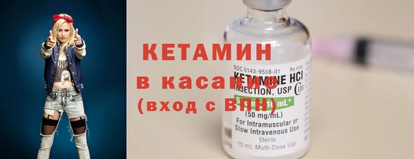 крисы Абаза