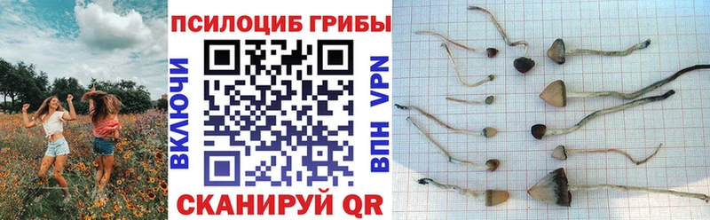 Галлюциногенные грибы MAGIC MUSHROOMS Чулым