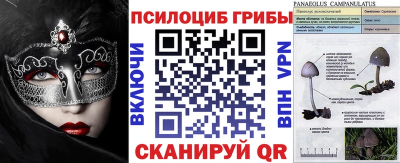 Галлюциногенные грибы Psilocybe  дарнет шоп  Чулым 